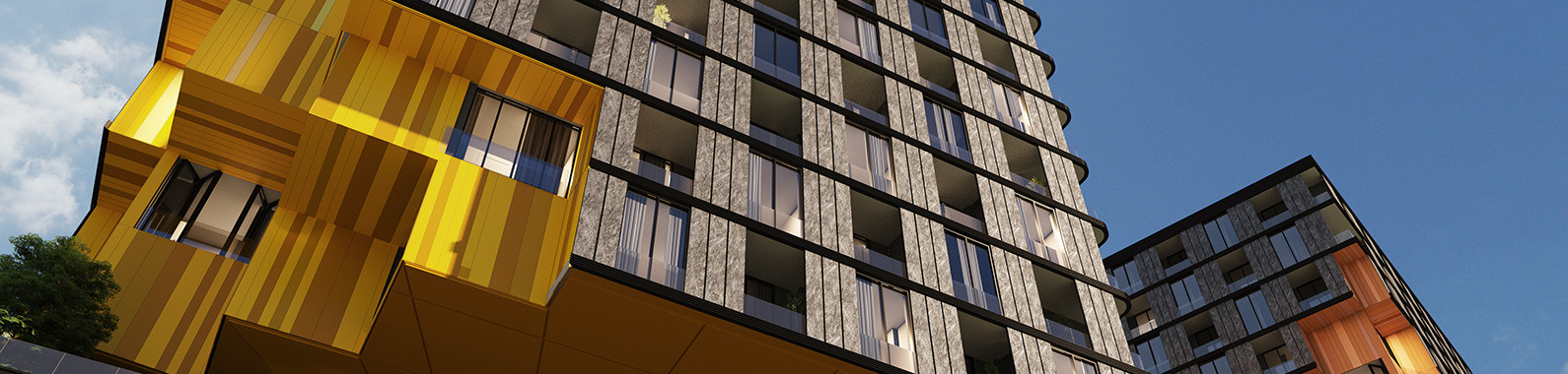 banner of პარკ ჰოუმ ვაკე